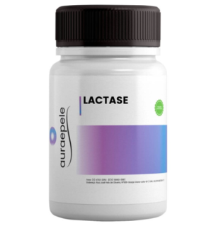 Qual é a função da lactase no organismo?